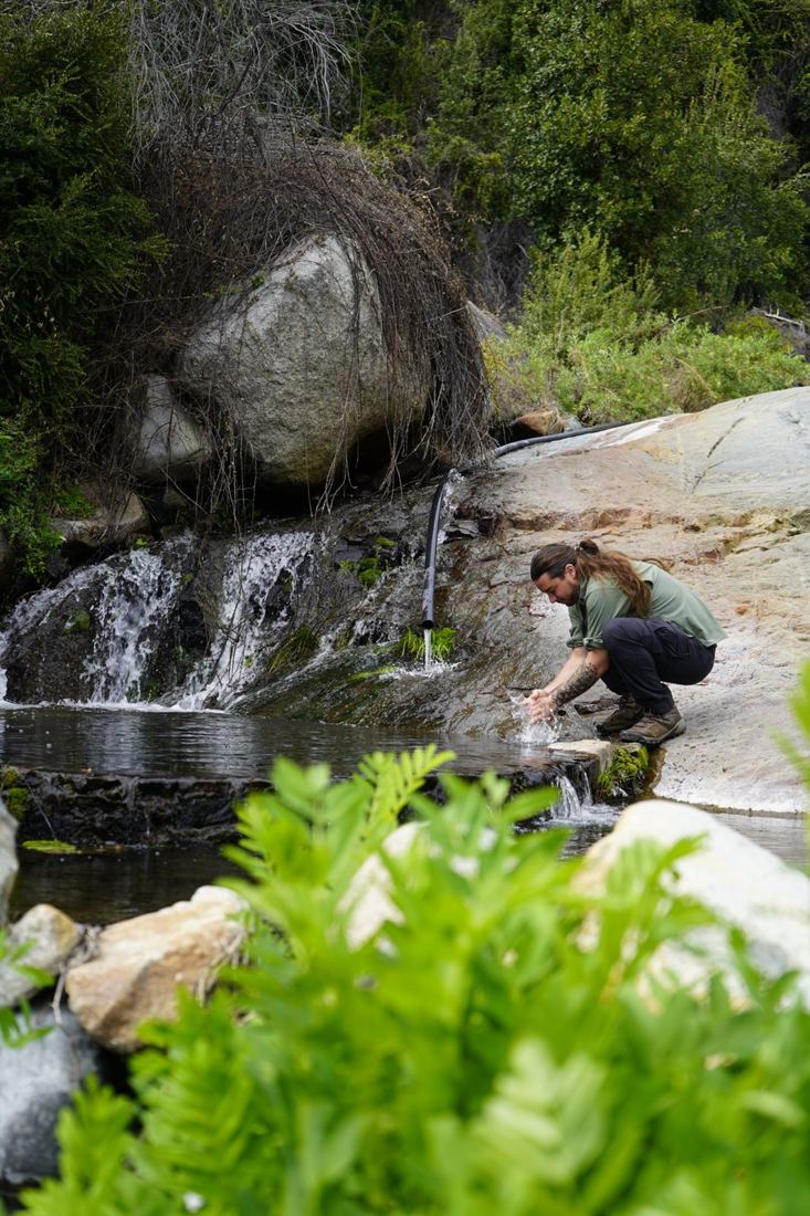 Vertiente de agua en una quebrada de la reserva